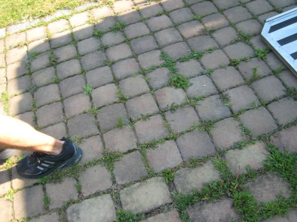 IMG_0524_resize.JPG