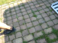 IMG_0524_resize.JPG