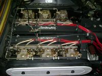 DSC01037.JPG