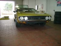 DSC01061.JPG